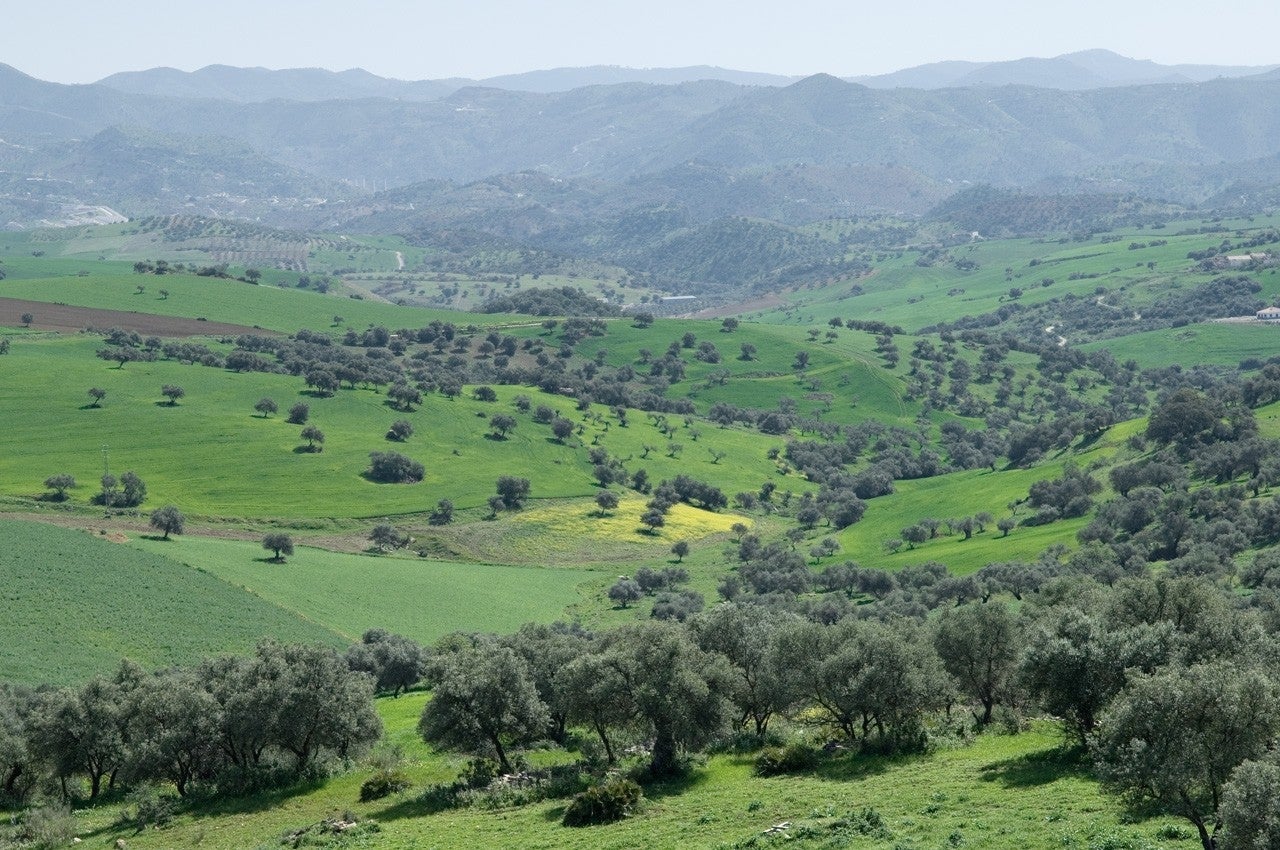 Villanueva de la Concepción