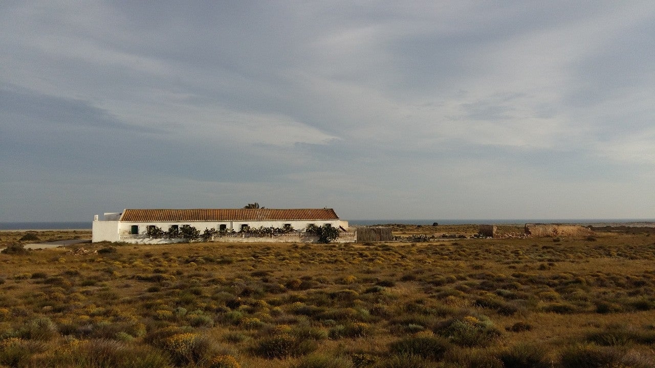 El Ejido