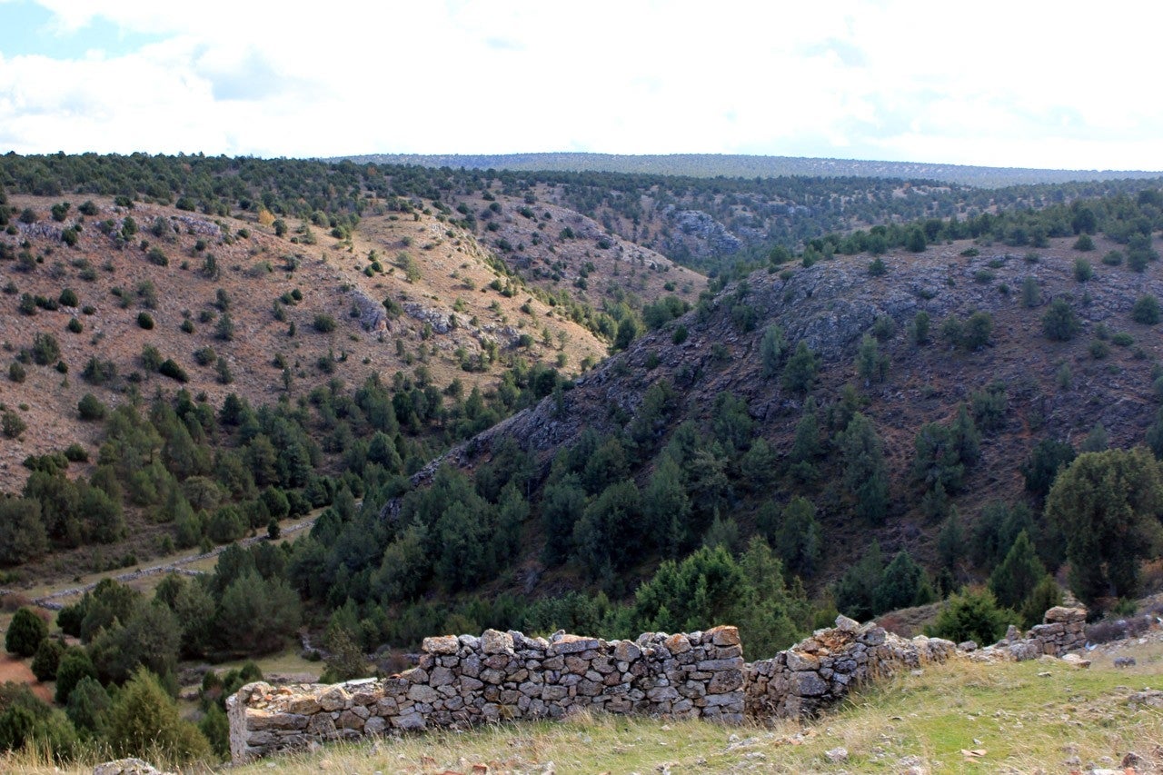 Almaluez