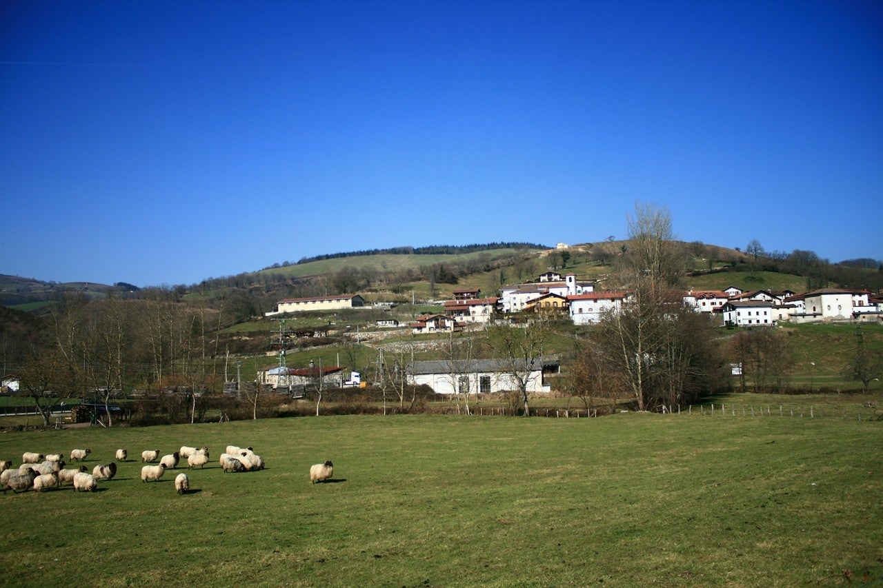 Oitz