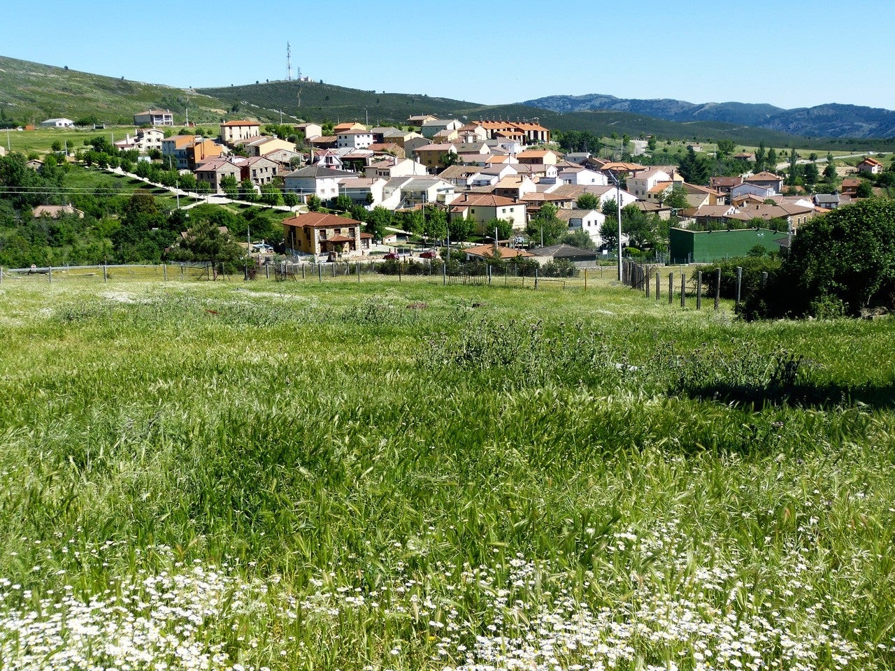 Robledillo de la Jara