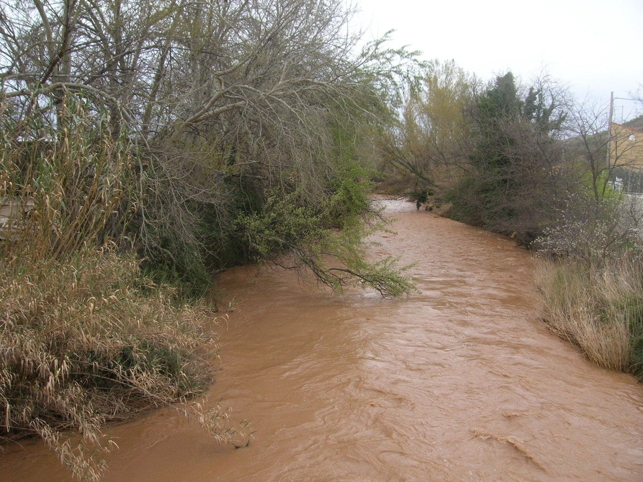 Contamina