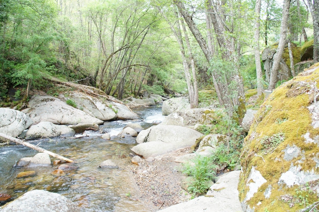 Cabrillas