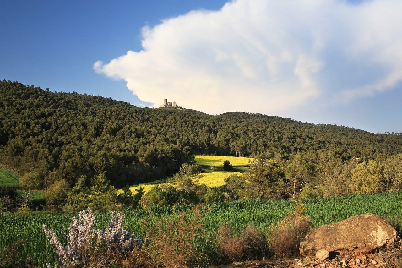 Sant Pere Sallavinera