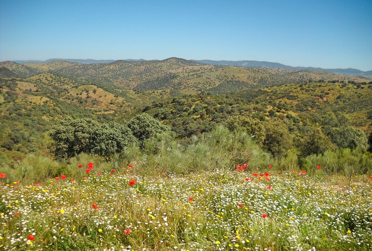 Cabezarrubias del Puerto
