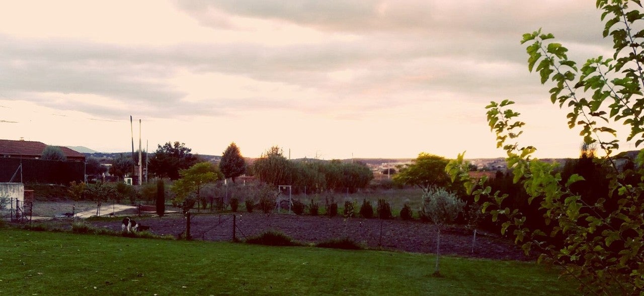 Alcolea de Tajo