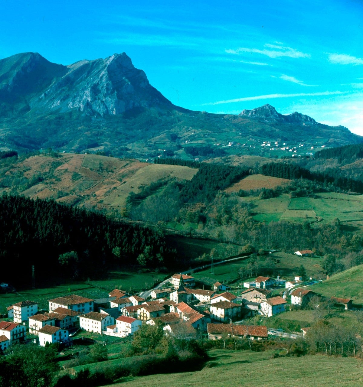 Betelu