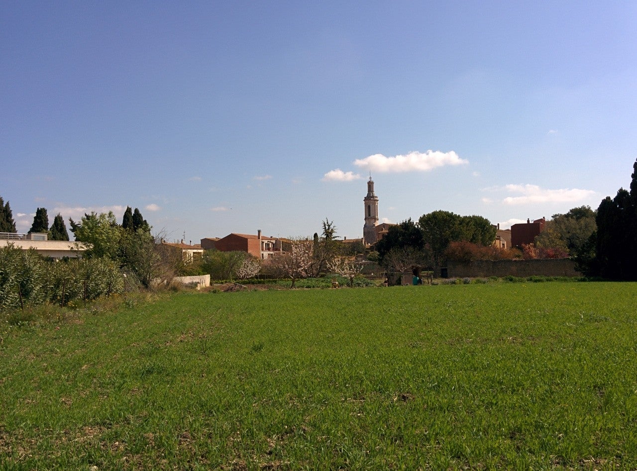 Borrassà