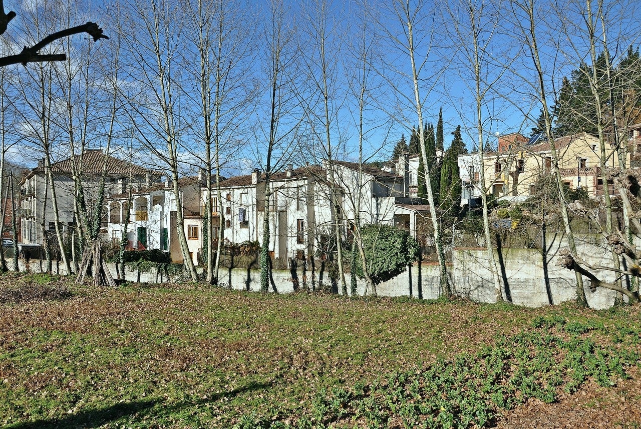 Vallgorguina