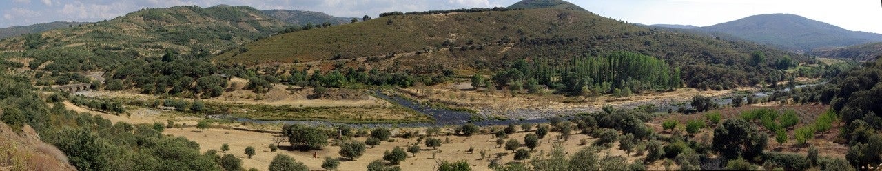 Valdefuentes de Sangusín