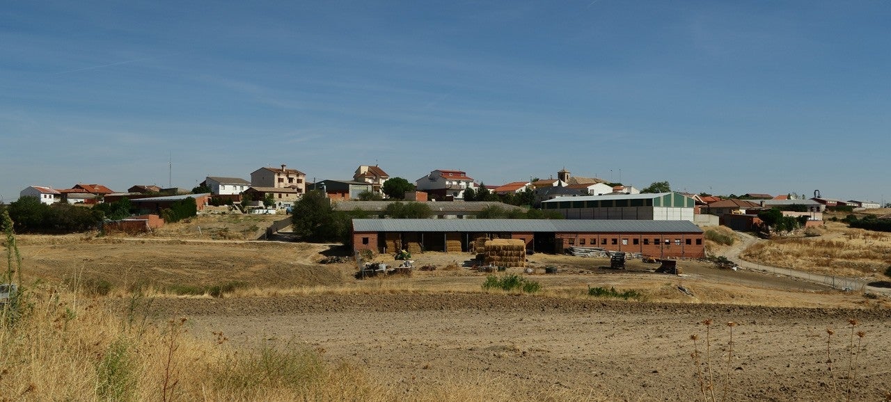 Palomeque