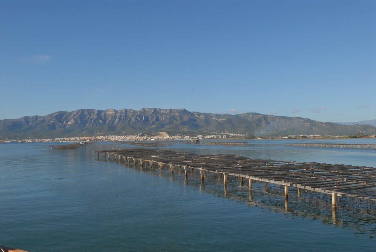 Sant Carles de la Ràpita