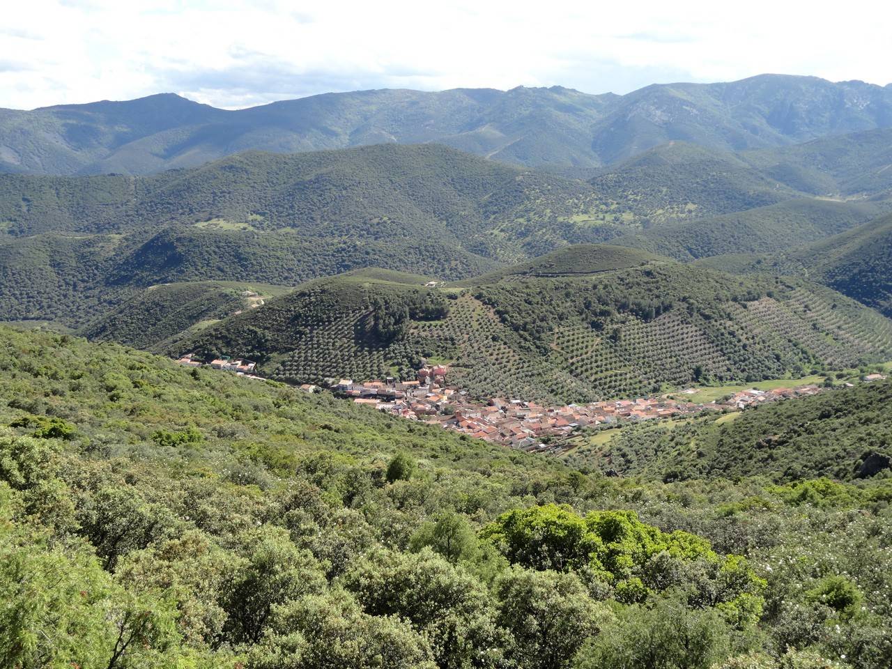 Solana del Pino
