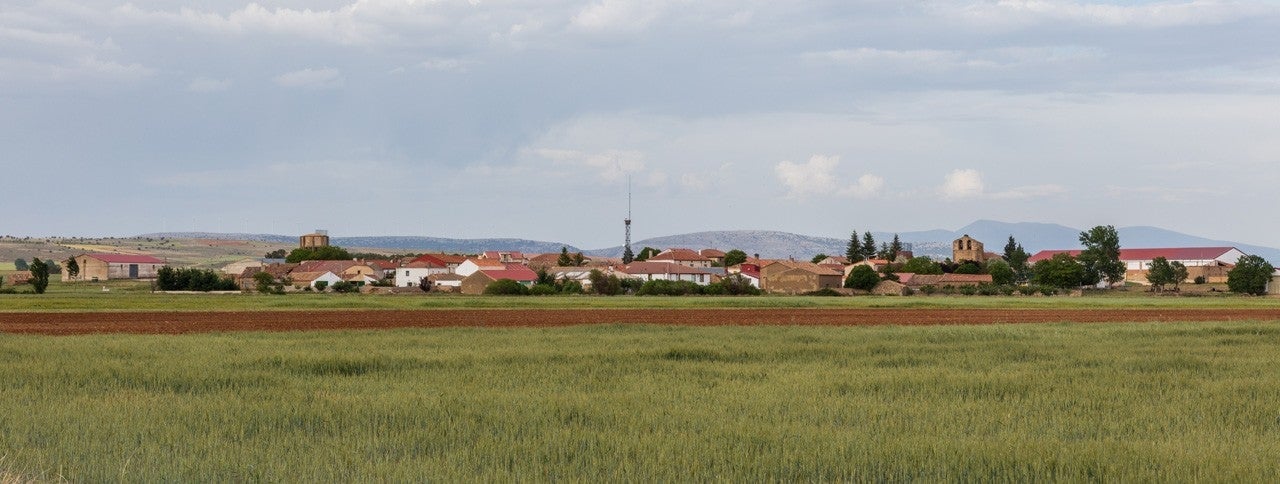 Candilichera