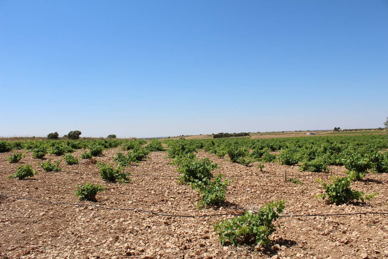 Quintanar de la Orden