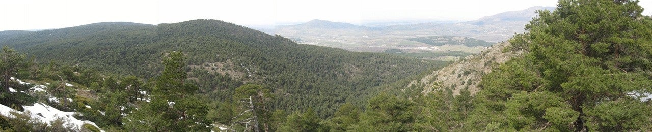 Navalperal de Pinares