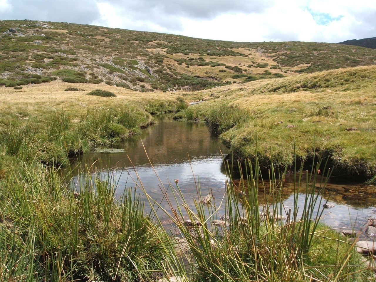 San Bartolomé de Corneja