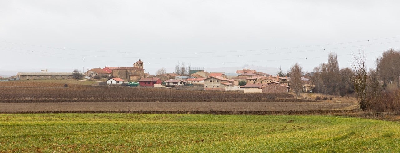 Buitrago