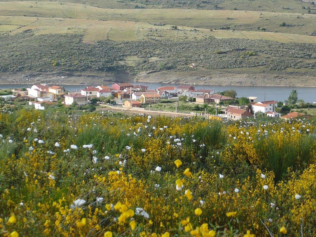 Muelas del Pan