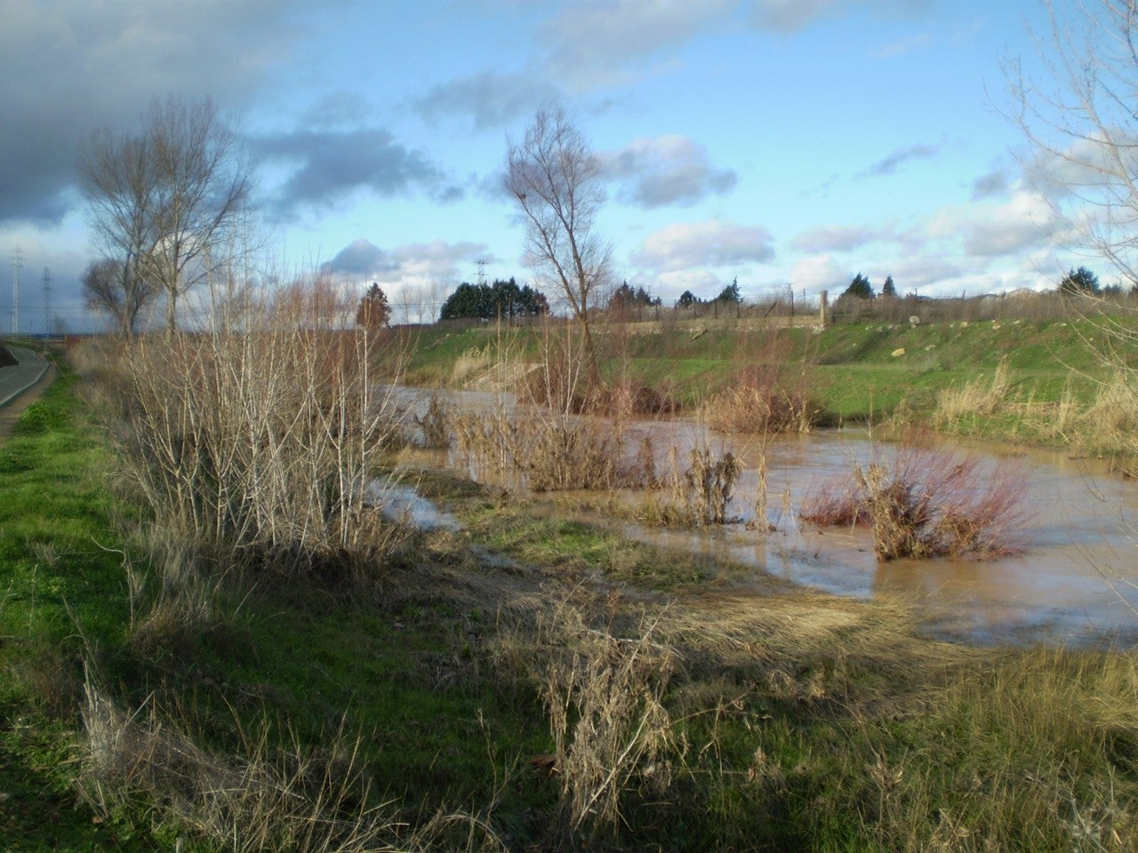 Cañizo de Campos