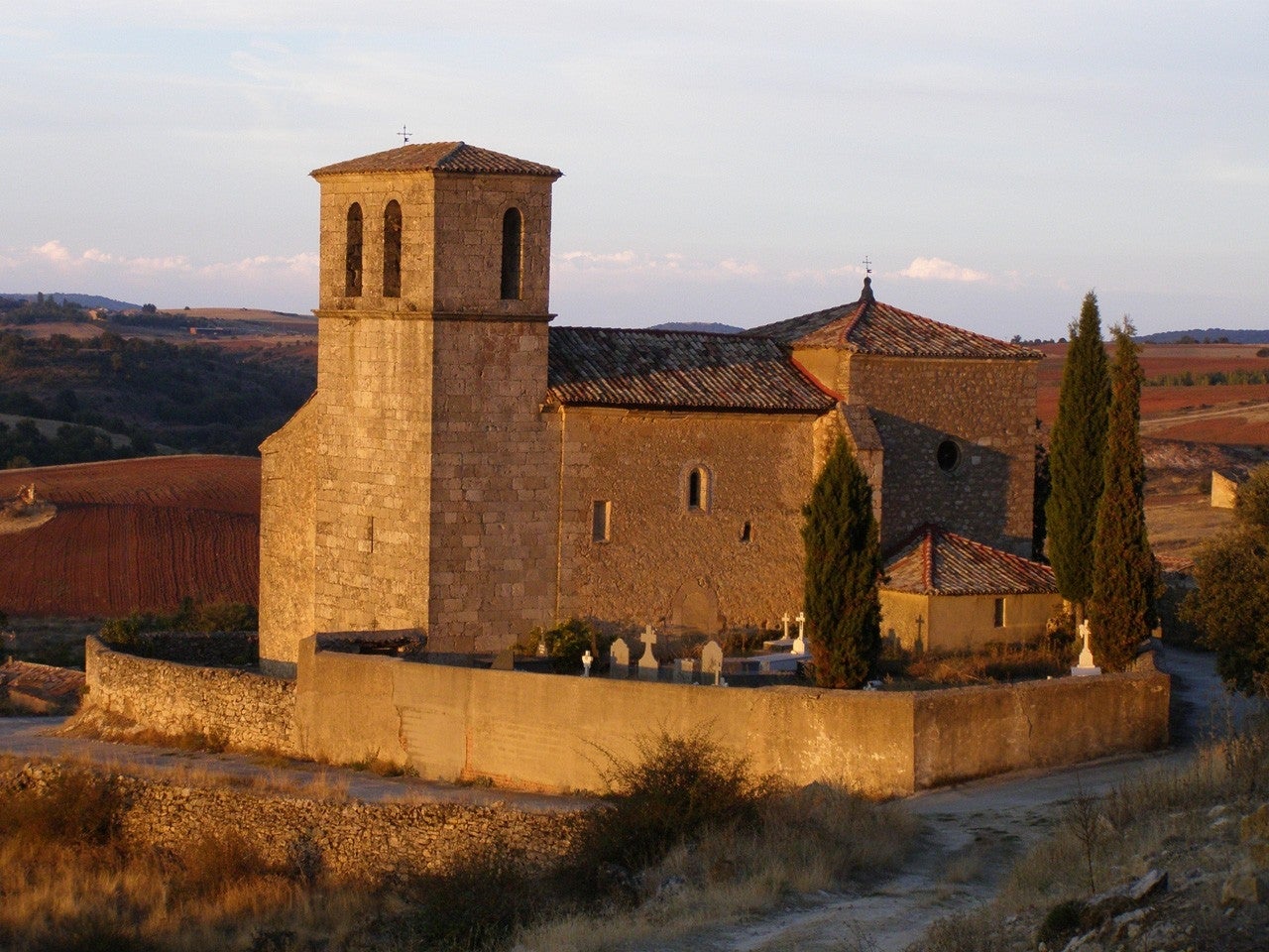 Angón