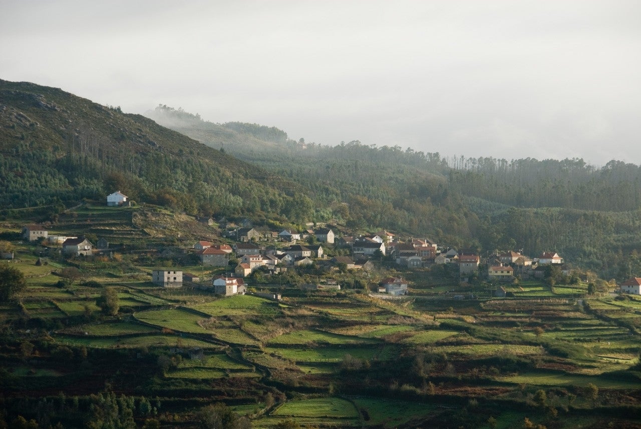 Pazos de Borbén