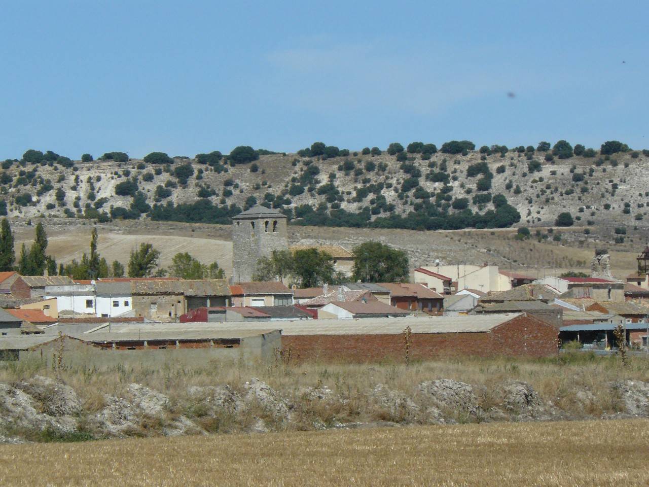 Piña de Esgueva