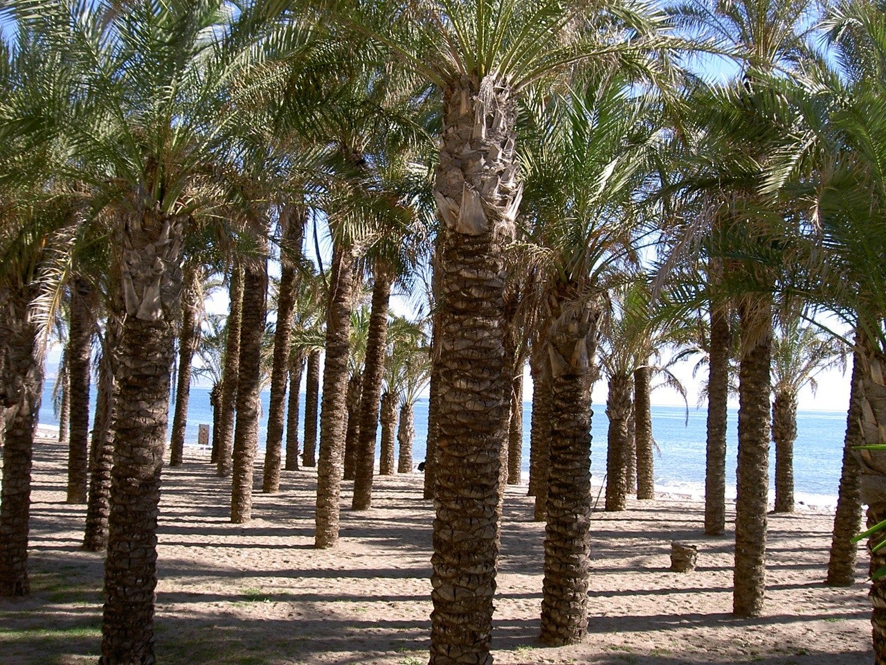 Torremolinos