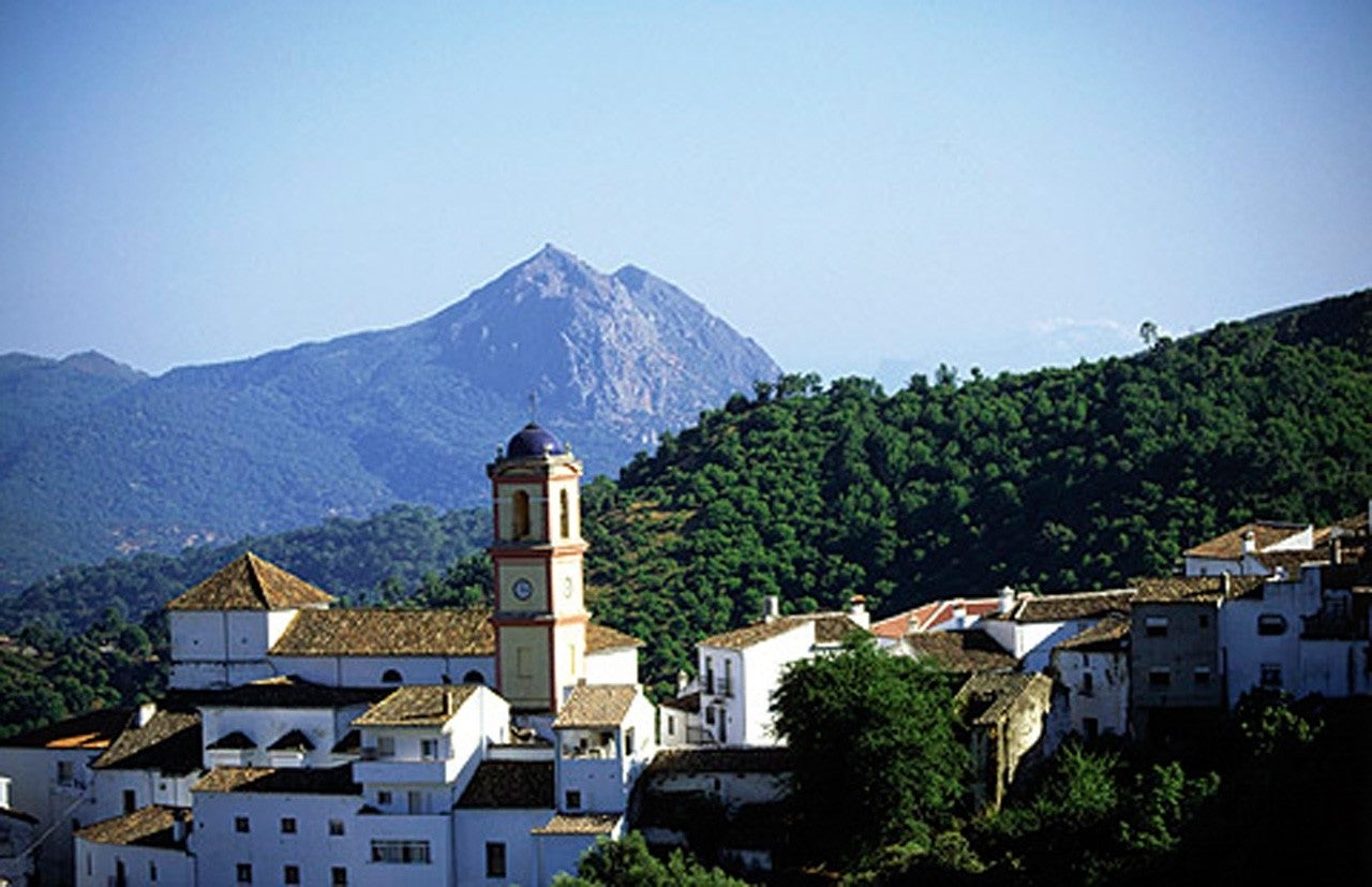 Algatocín