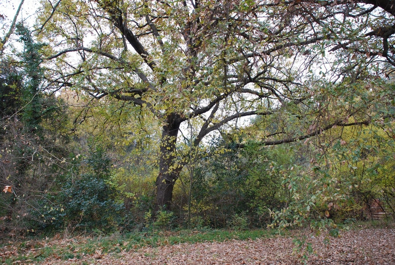 Badia del Vallès