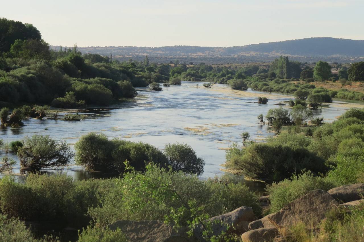 Moraleja de Sayago