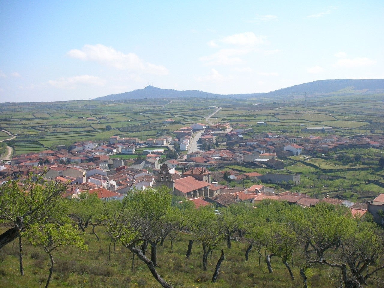 Vilvestre
