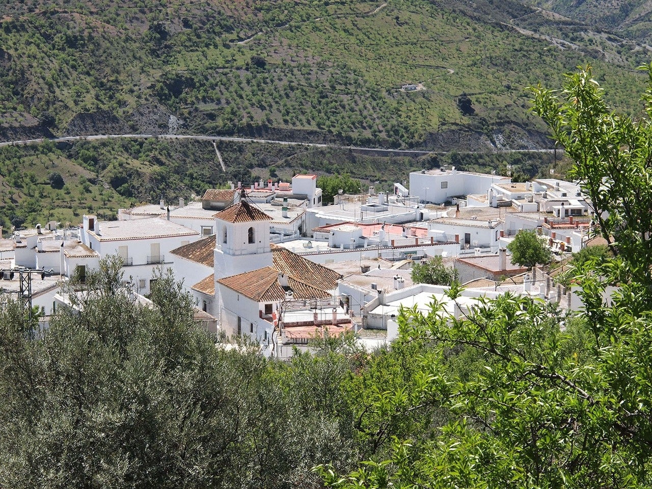 Almegíjar