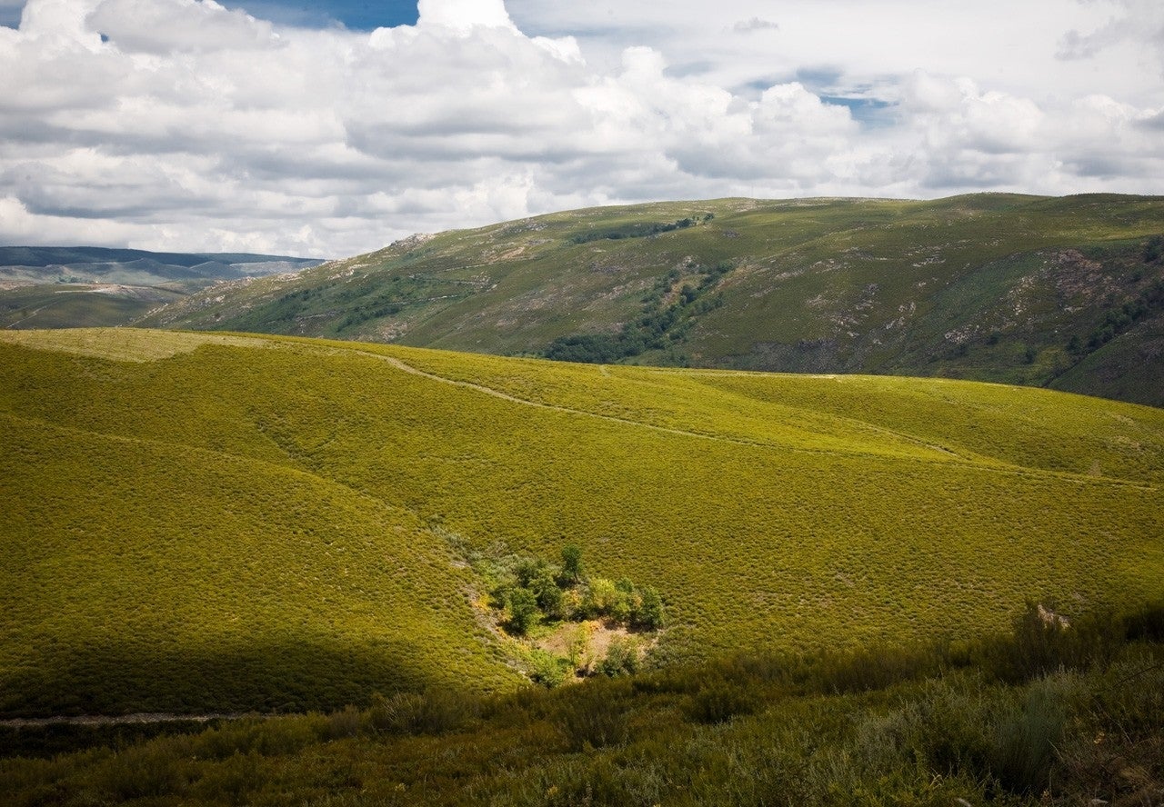 A Gudiña