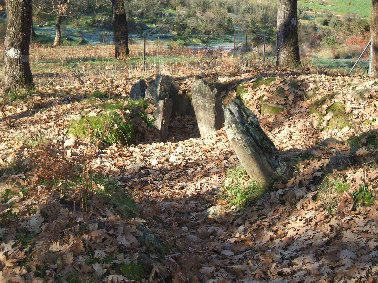 Hernán-Pérez