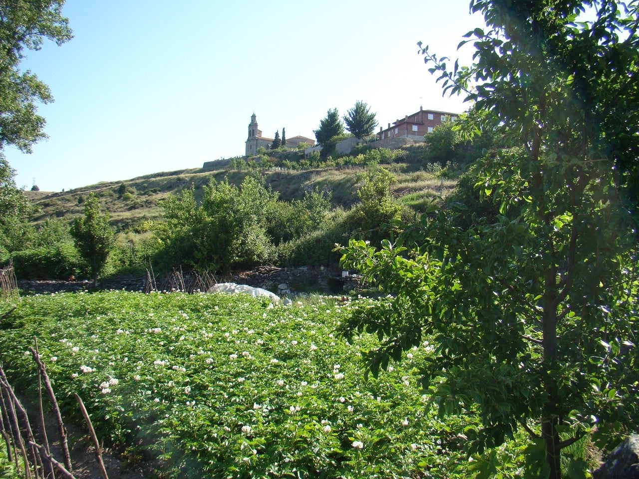 Huertahernando