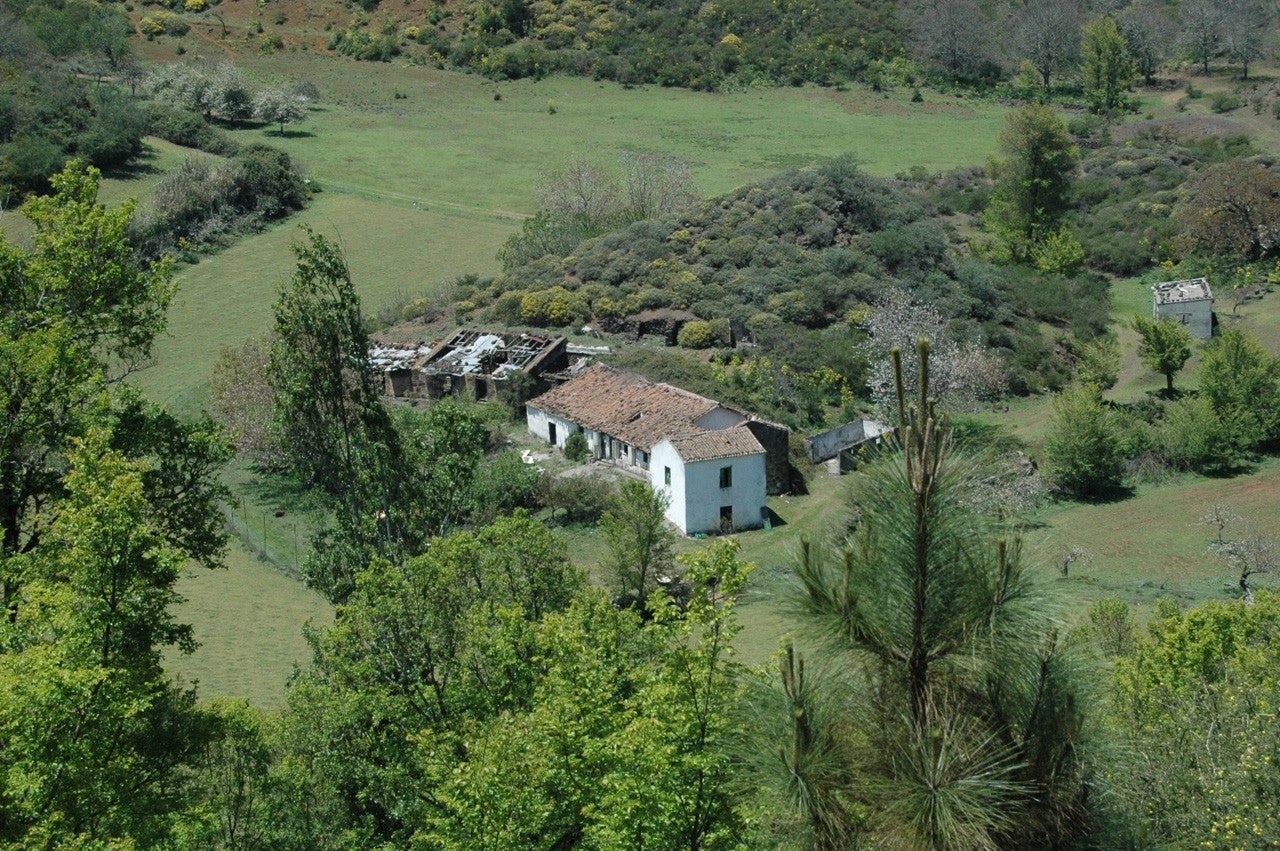 Valleseco