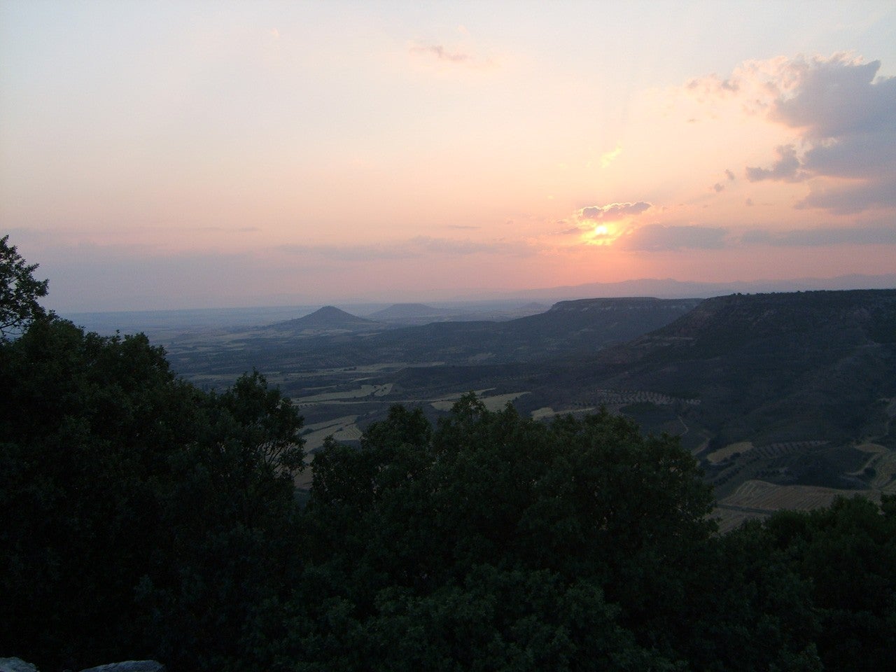 Centenera