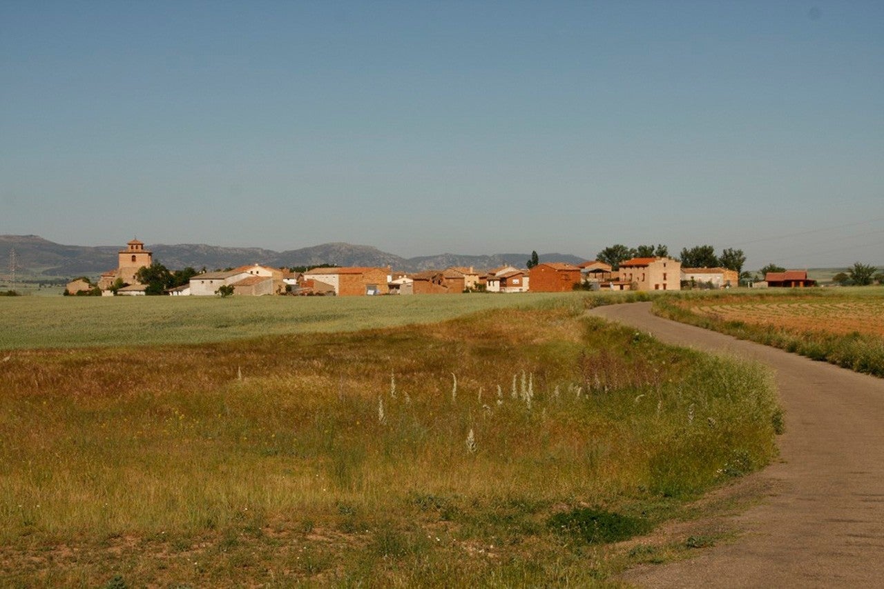 La Vid de Bureba