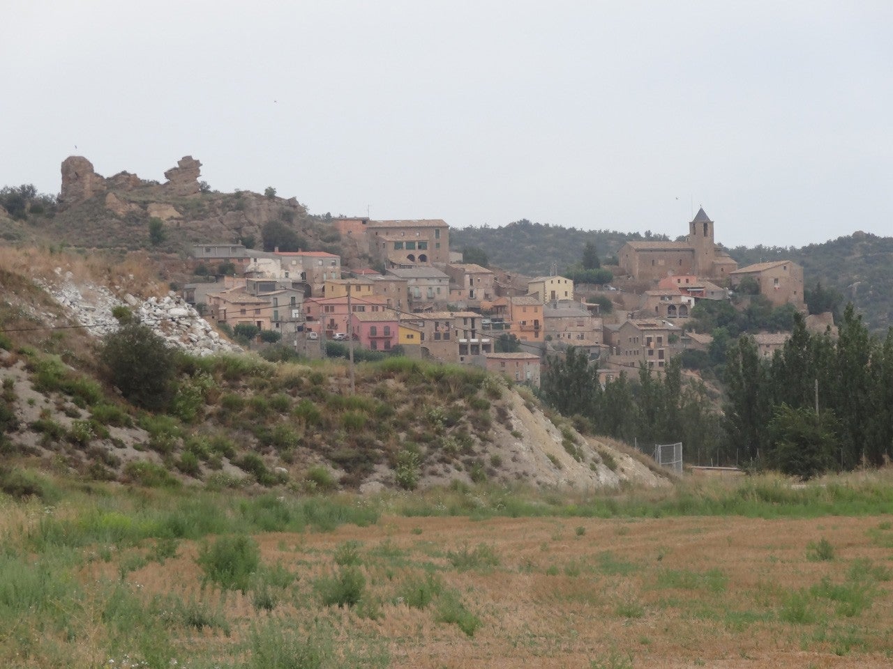 Oliola