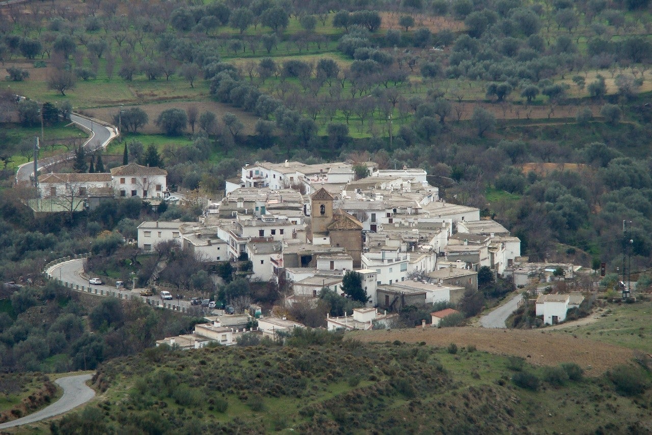 Lobras