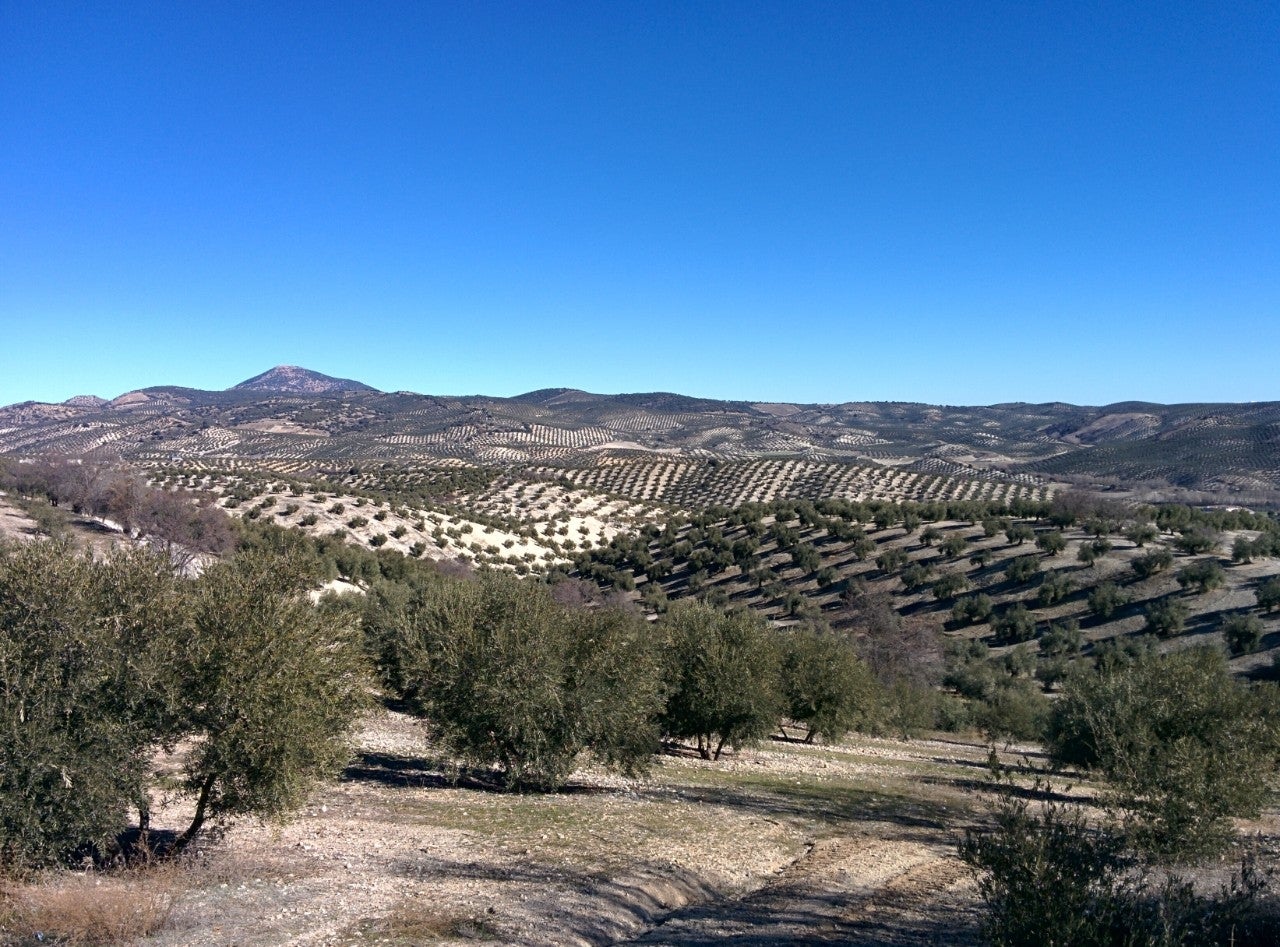 Campotéjar