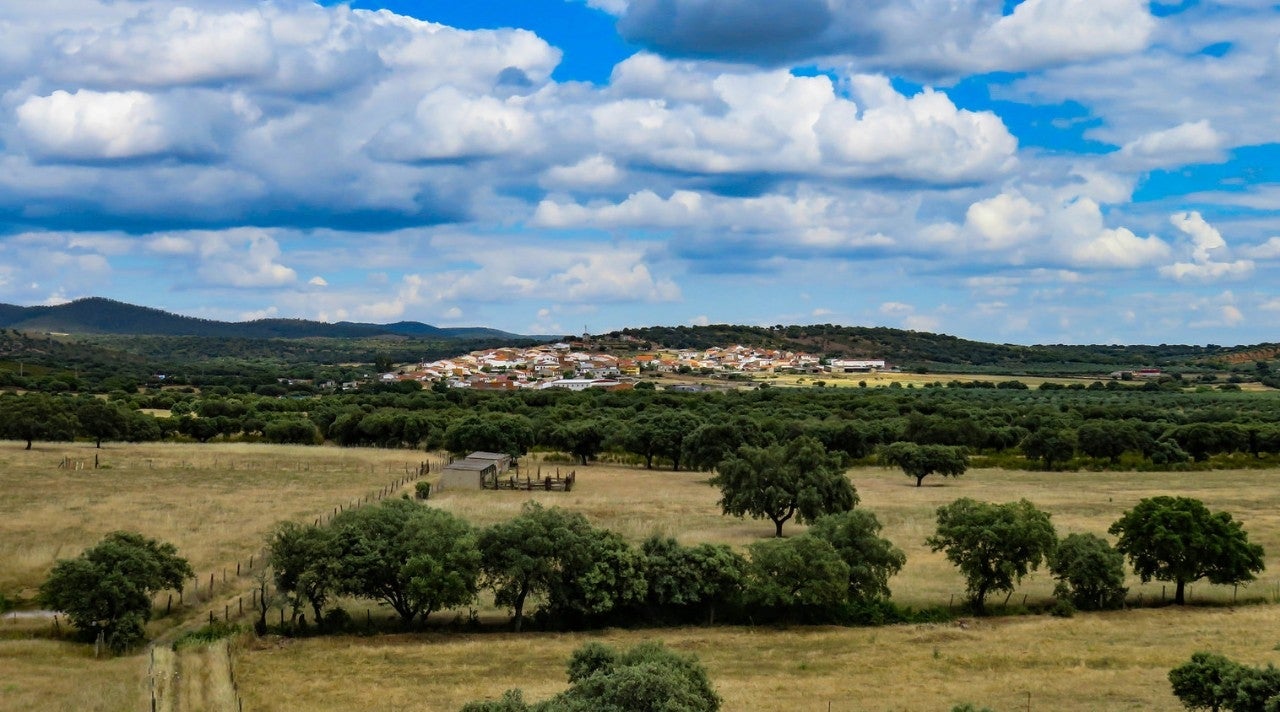 Carmonita