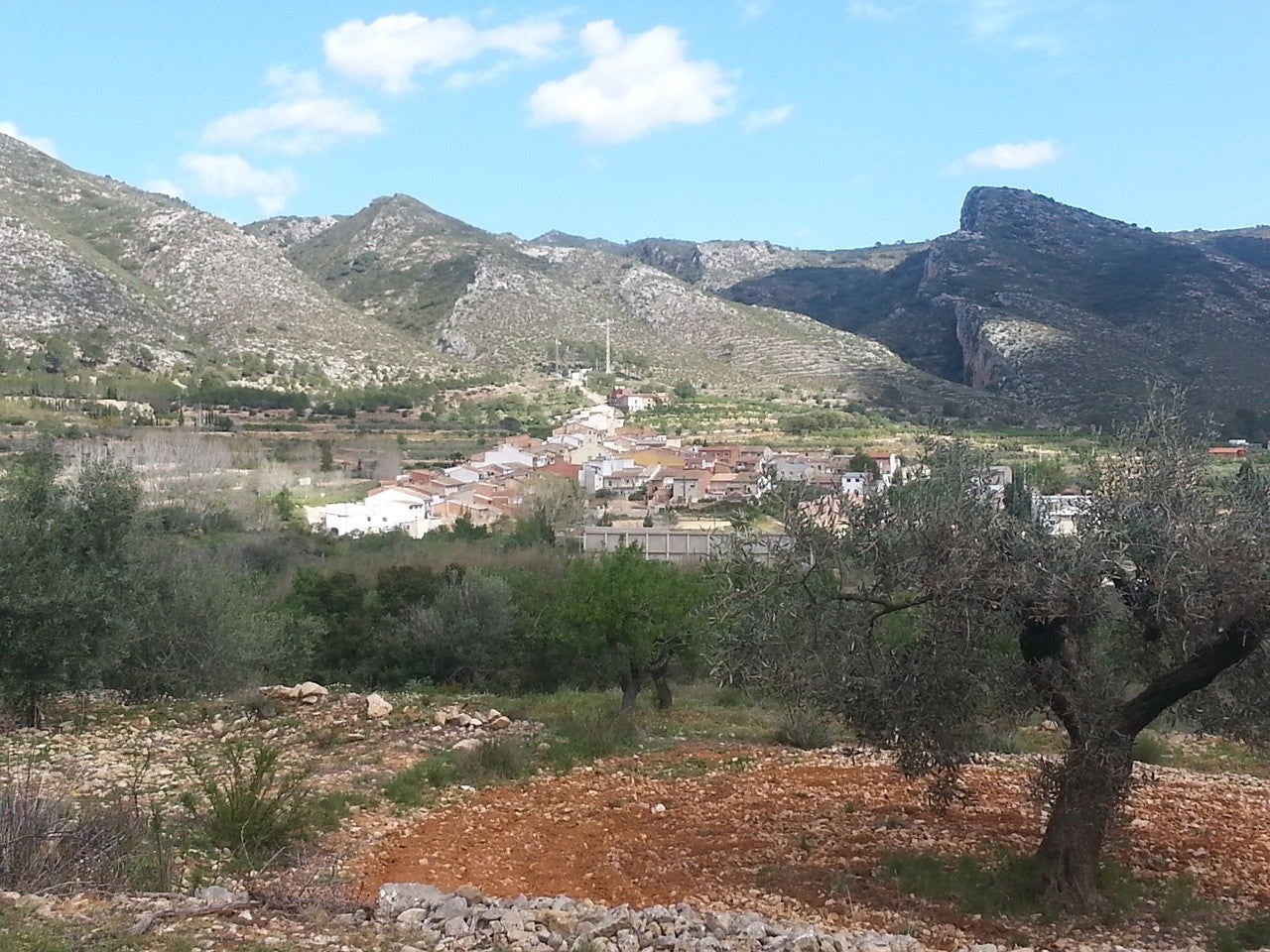 Pinet