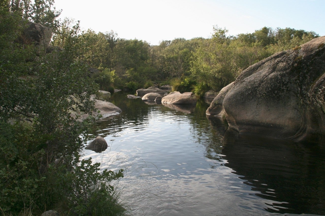 Villasrubias