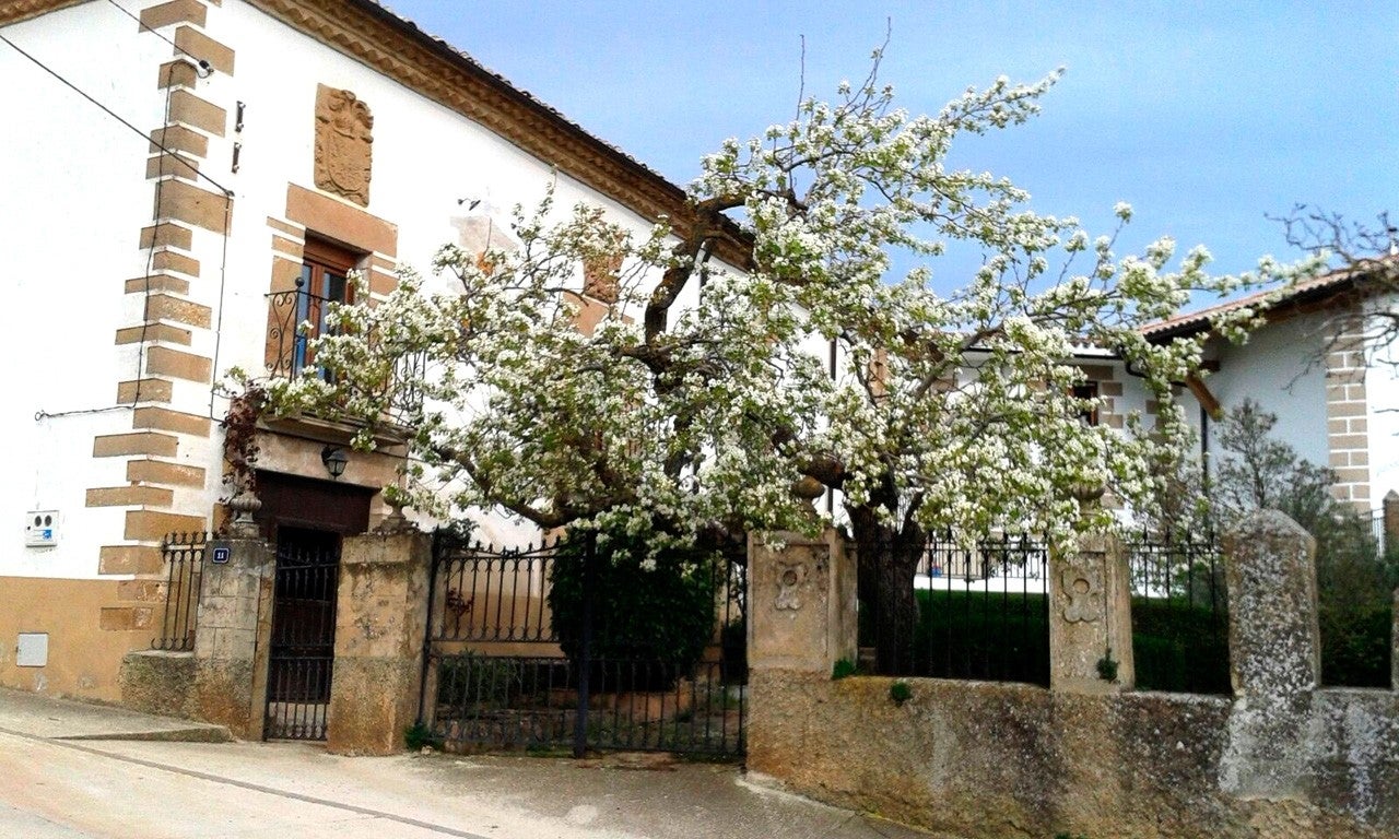 Arellano