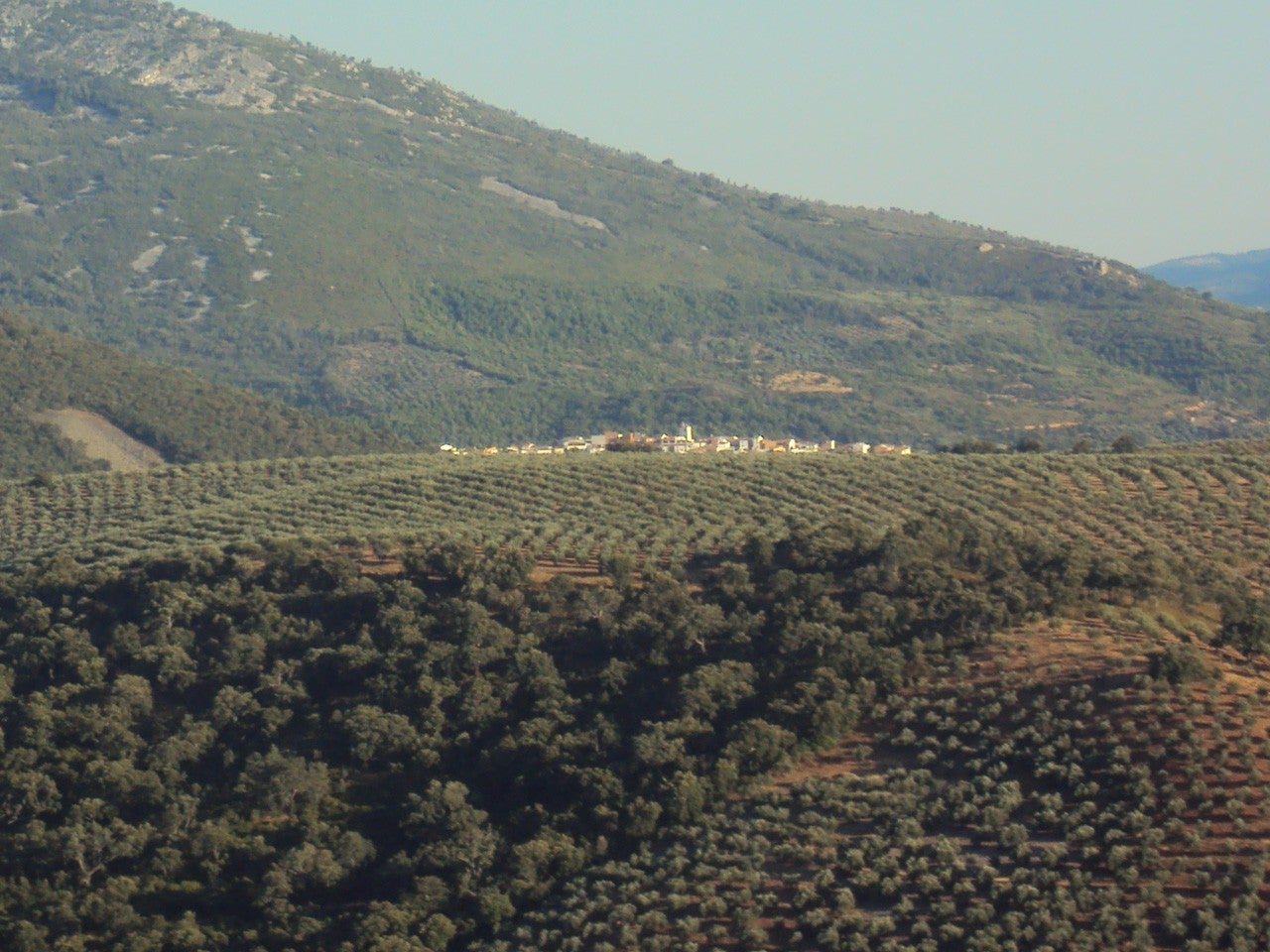Castañar de Ibor