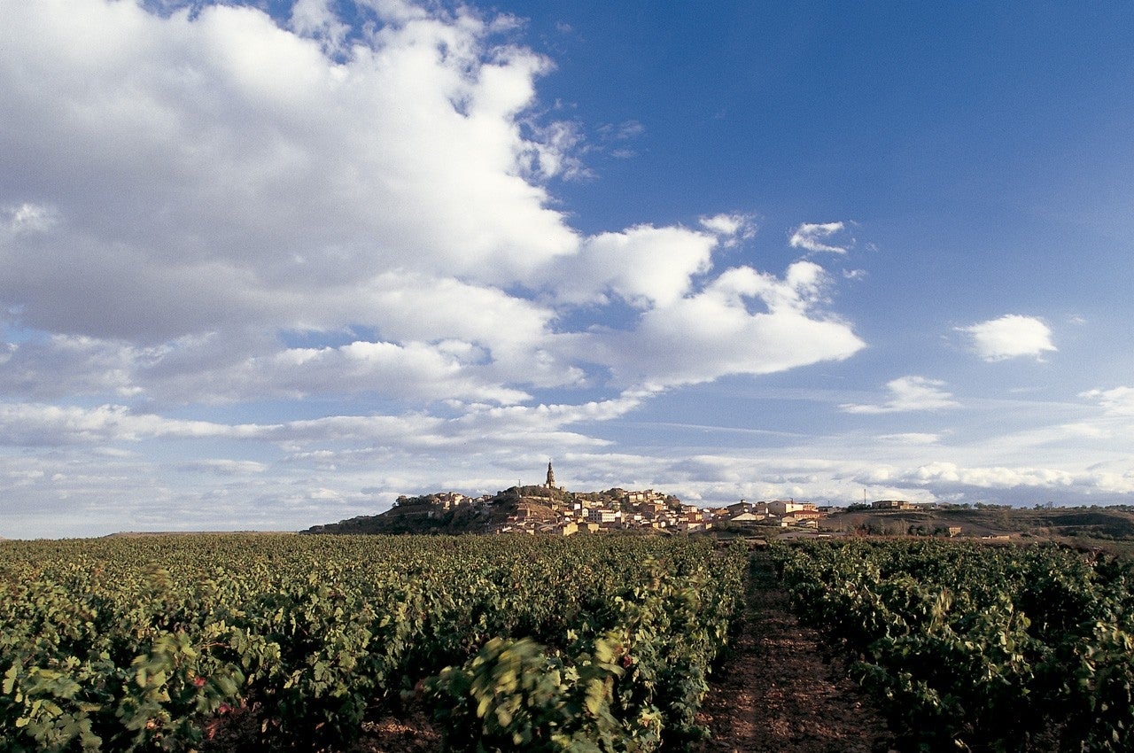 Briones