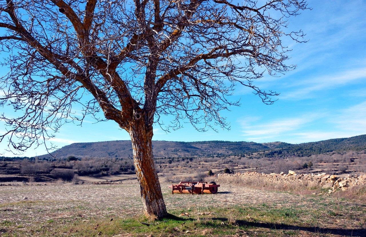Veguillas de la Sierra