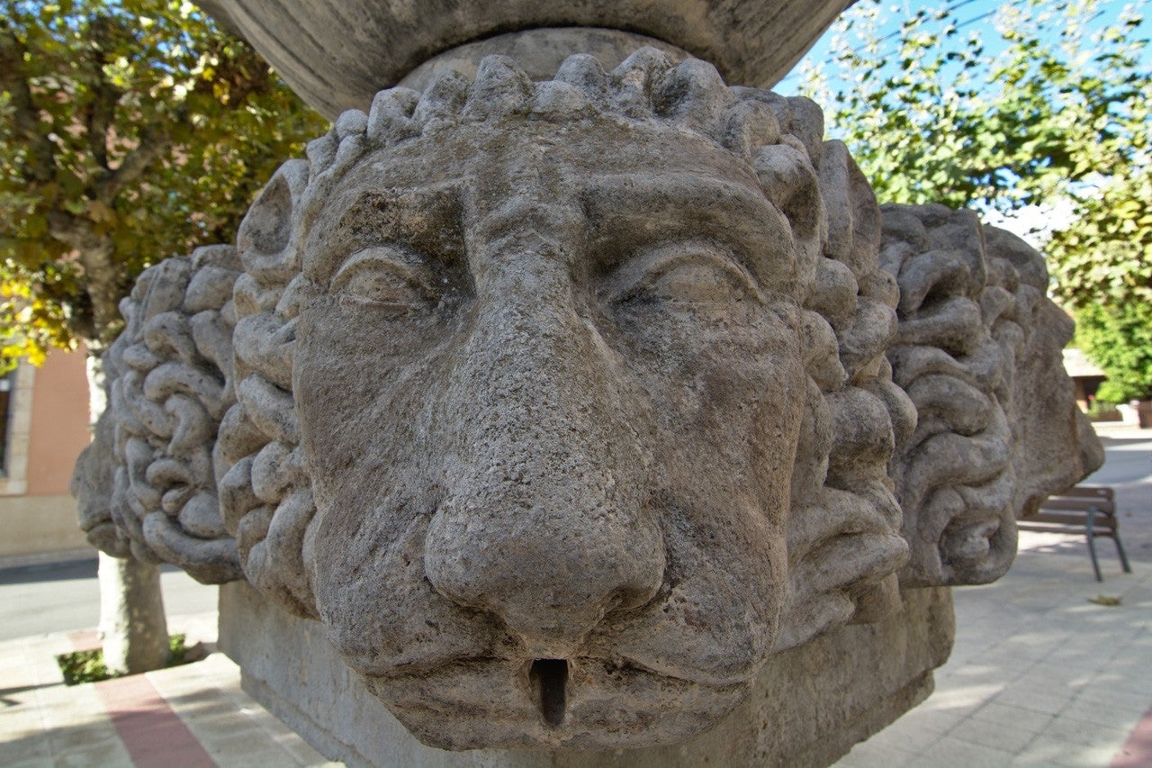 Cardeñadijo